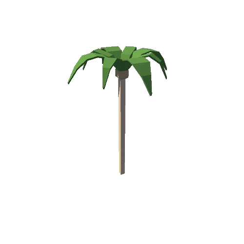 Egypt Palm Tree 02